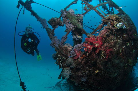 Severance Shipwreck Dive Site - Tweed Heads Accommodation 0