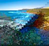 Shellgrit Beach Red Head - Tweed Heads Accommodation