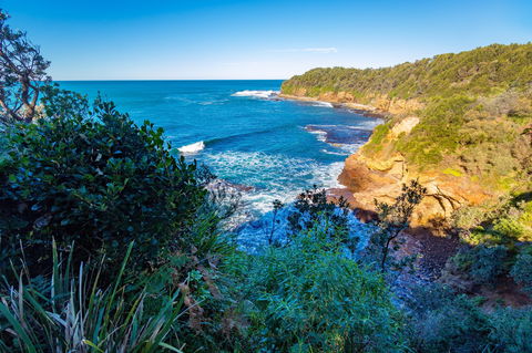 Shellgrit Beach (Red Head) - Tweed Heads Accommodation 0