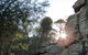 Store Creek Picnic Area - thumb 0