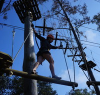 Trees Adventure Nowra Park - Tweed Heads Accommodation
