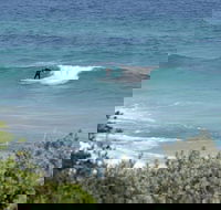 Trigg Island Beach - Tweed Heads Accommodation