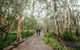 Venman Bushland National Park - thumb 0