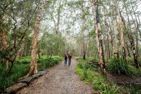 Venman Bushland National Park - Tweed Heads Accommodation 0