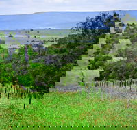 Wild Dog Barrier Fence - Tweed Heads Accommodation