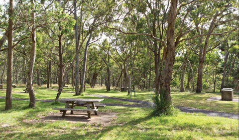 Wollomombi Gorge And Falls Picnic Area - Tweed Heads Accommodation 0
