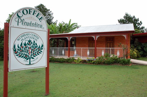 Wombah Coffee Plantation - Tweed Heads Accommodation 0