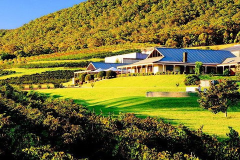 Hunter Express Helicopter Flight - Tweed Heads Accommodation 4