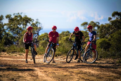 Blue Labyrinth Tour: Sydney Blue Mountains By E-Bike - Tweed Heads Accommodation 3