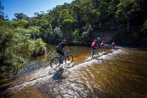 Blue Labyrinth Tour: Sydney Blue Mountains By E-Bike - Tweed Heads Accommodation 7