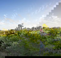 Mclaren Vale - Tweed Heads Accommodation