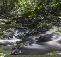 Protesters Falls Walking Track - Tweed Heads Accommodation