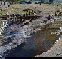 Wangaraleednie Monument  Ruins - Tweed Heads Accommodation