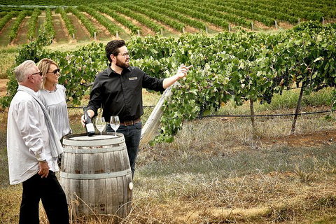 VIP Soil-To-Cellar Experience - Tweed Heads Accommodation 0
