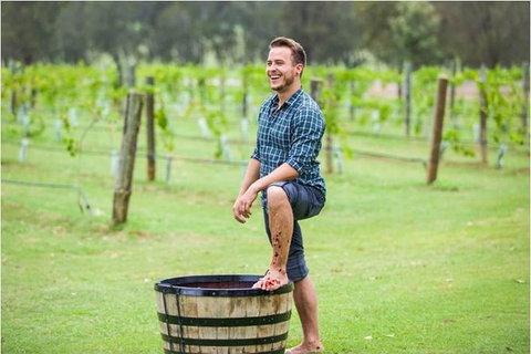 Hunter Valley Grape Stomping - Tweed Heads Accommodation 0