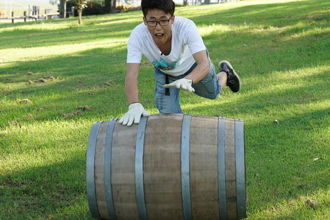 Hunter Valley Wine Barrel Rolling - Tweed Heads Accommodation 2