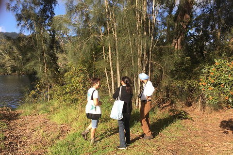 Fishermans Paradise Eco-walk - Tweed Heads Accommodation 1