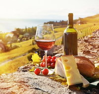 Six hour - plan your own wine and cheese tour Hunter Valley - Tweed Heads Accommodation