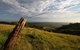 Private Full-Day Wine Tour In Hunter Valley - thumb 3