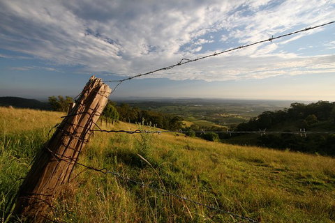 Private Full-Day Wine Tour In Hunter Valley - Tweed Heads Accommodation 3