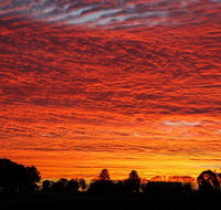 Private Full-Day Wine Tour in Hunter Valley - Tweed Heads Accommodation