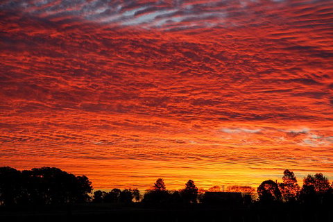 Private Full-Day Wine Tour In Hunter Valley - Tweed Heads Accommodation 0