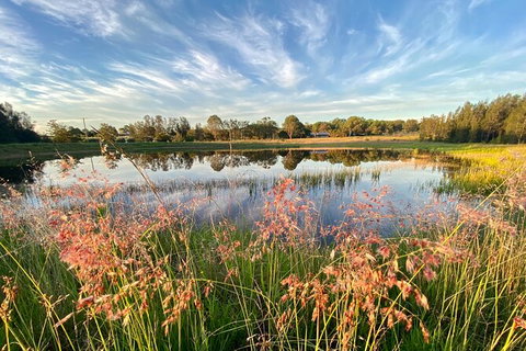 Private Full-Day Wine Tour In Hunter Valley - Tweed Heads Accommodation 5