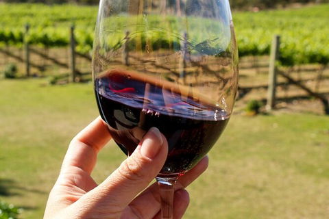 Wine Tasting In Canberra Region - Tweed Heads Accommodation 0