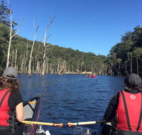 Canoes Cool Climate Wines  Canaps - Kangaroo Valley - Tweed Heads Accommodation