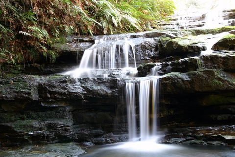 Private 10-hour Tour To Blue Mountains From Sydney - Hotel Pick Up & Drop Off - Tweed Heads Accommodation 6