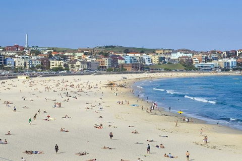 Sydney With Bondi And Beaches Essentials Private Day Tour - Tweed Heads Accommodation 2