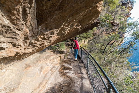 Blue Mountains Highlights & Wildlife Park - Tweed Heads Accommodation 0