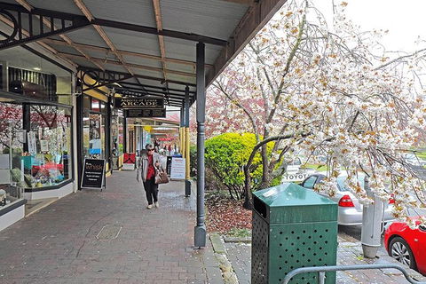 Blue Mountains Highlights & Wildlife Park - Tweed Heads Accommodation 2