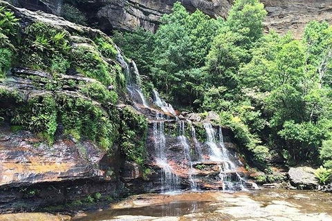 Blue Mountains Highlights & Wildlife Park - Tweed Heads Accommodation 8