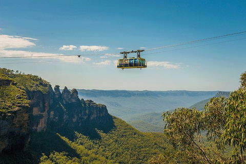 Blue Mountains Highlights, Wildlife Park And Scenic World Full Day Private Tour - Tweed Heads Accommodation 0