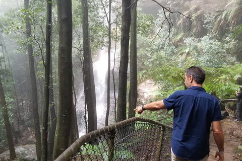 Blue Mountains Highlights, Wildlife Park And Scenic World Full Day Private Tour - Tweed Heads Accommodation 6