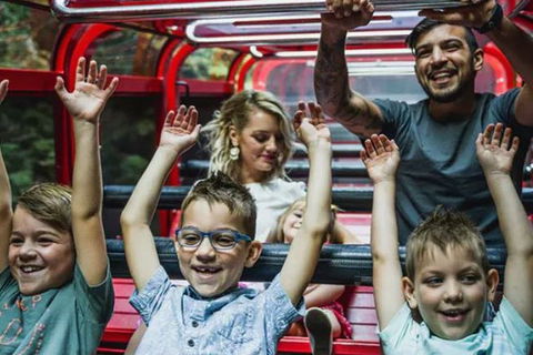Blue Mountains Highlights, Wildlife Park And Scenic World Full Day Private Tour - Tweed Heads Accommodation 5