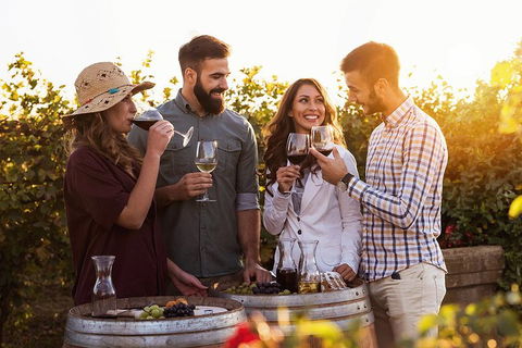 Hunter Valley Highlights Private Wine Tour From Sydney - Tweed Heads Accommodation 0
