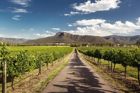 Hunter Valley Highlights Private Wine Tour From Sydney - Tweed Heads Accommodation 2