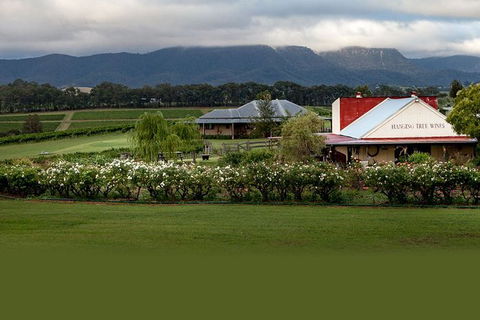 Hunter Valley Highlights Private Wine Tour From Sydney - Tweed Heads Accommodation 5
