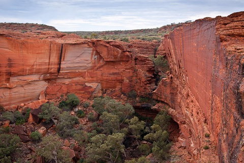 Uluru, Kata Tjuta And Kings Canyon Camping Safari From Alice Springs - Tweed Heads Accommodation 4