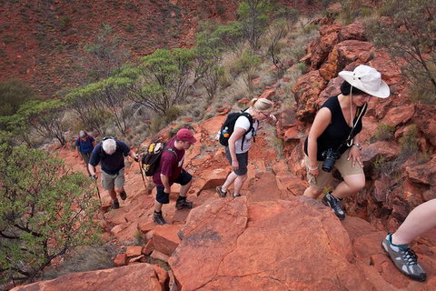 Uluru, Kata Tjuta And Kings Canyon Camping Safari From Alice Springs - Tweed Heads Accommodation 3