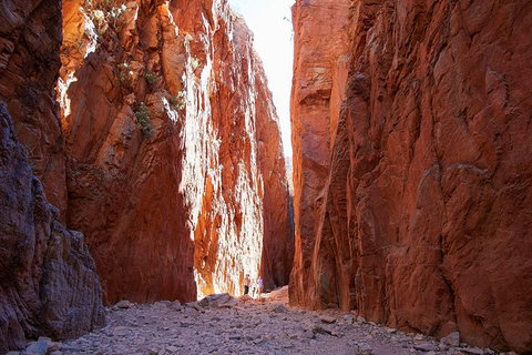 Best Of Alice Springs Full Day Tour - Tweed Heads Accommodation 6