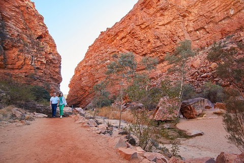 Best Of Alice Springs Full Day Tour - Tweed Heads Accommodation 2