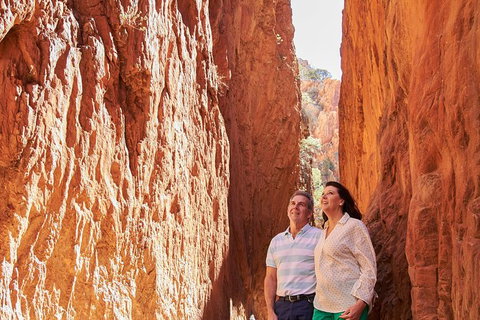 Best Of Alice Springs Full Day Tour - Tweed Heads Accommodation 4