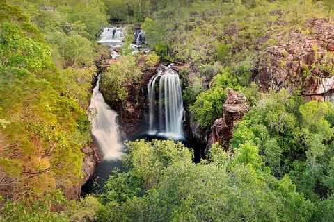 Full-Day Private Guided Tour To Litchfield National Park - Tweed Heads Accommodation 0