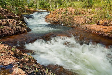 Full-Day Private Guided Tour To Litchfield National Park - Tweed Heads Accommodation 3