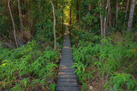 Full-Day Private Guided Tour To Litchfield National Park - Tweed Heads Accommodation 7
