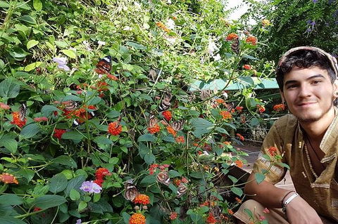 Full-Day Private Guided Tour To Litchfield National Park - Tweed Heads Accommodation 17