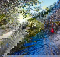 Serenity Cruise to Australia's Everglades - Tweed Heads Accommodation